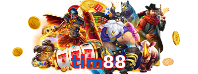 tim88