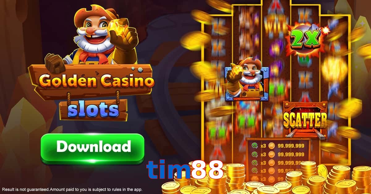 tim88