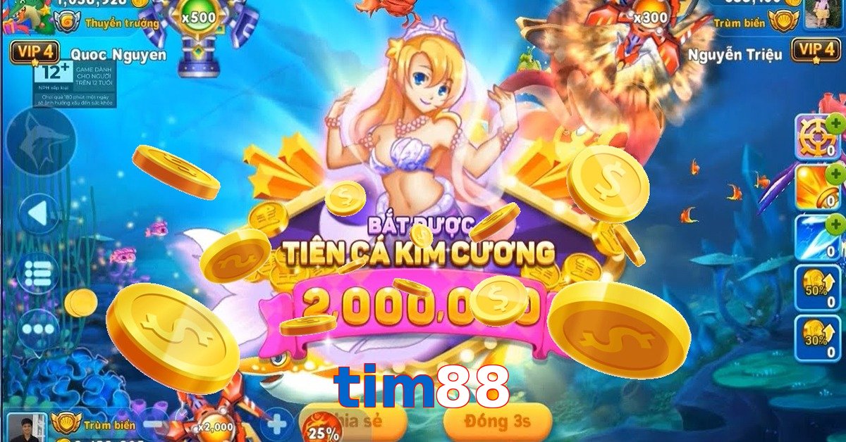 tim88