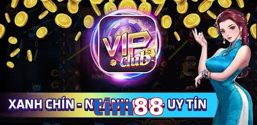 tim88