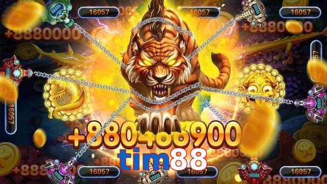 tim88