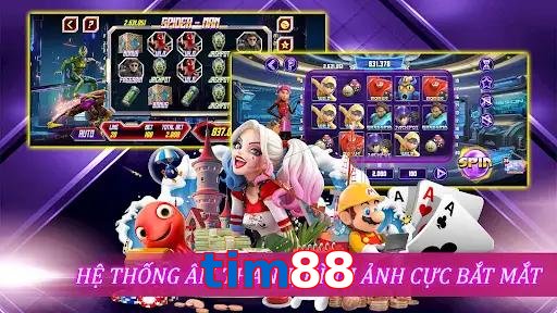 tim88