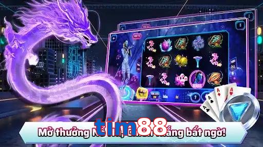 tim88