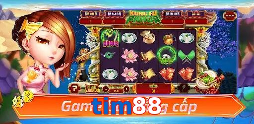tim88