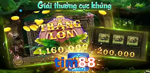 tim88