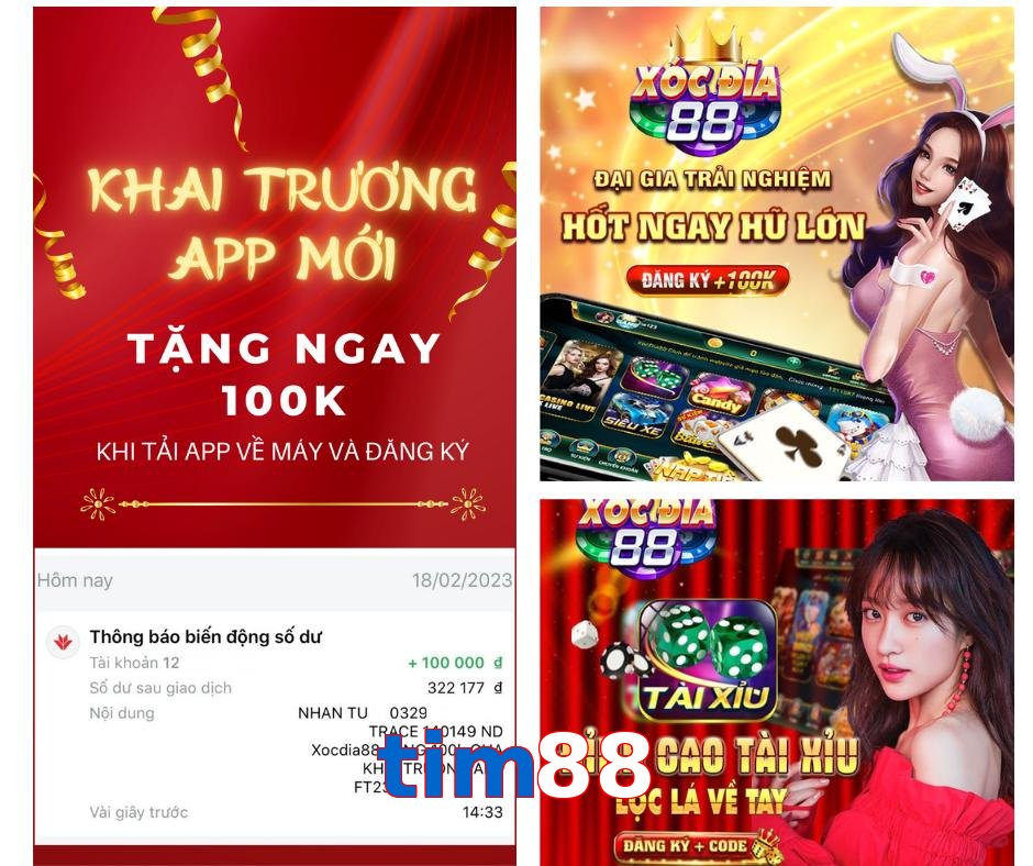 tim88